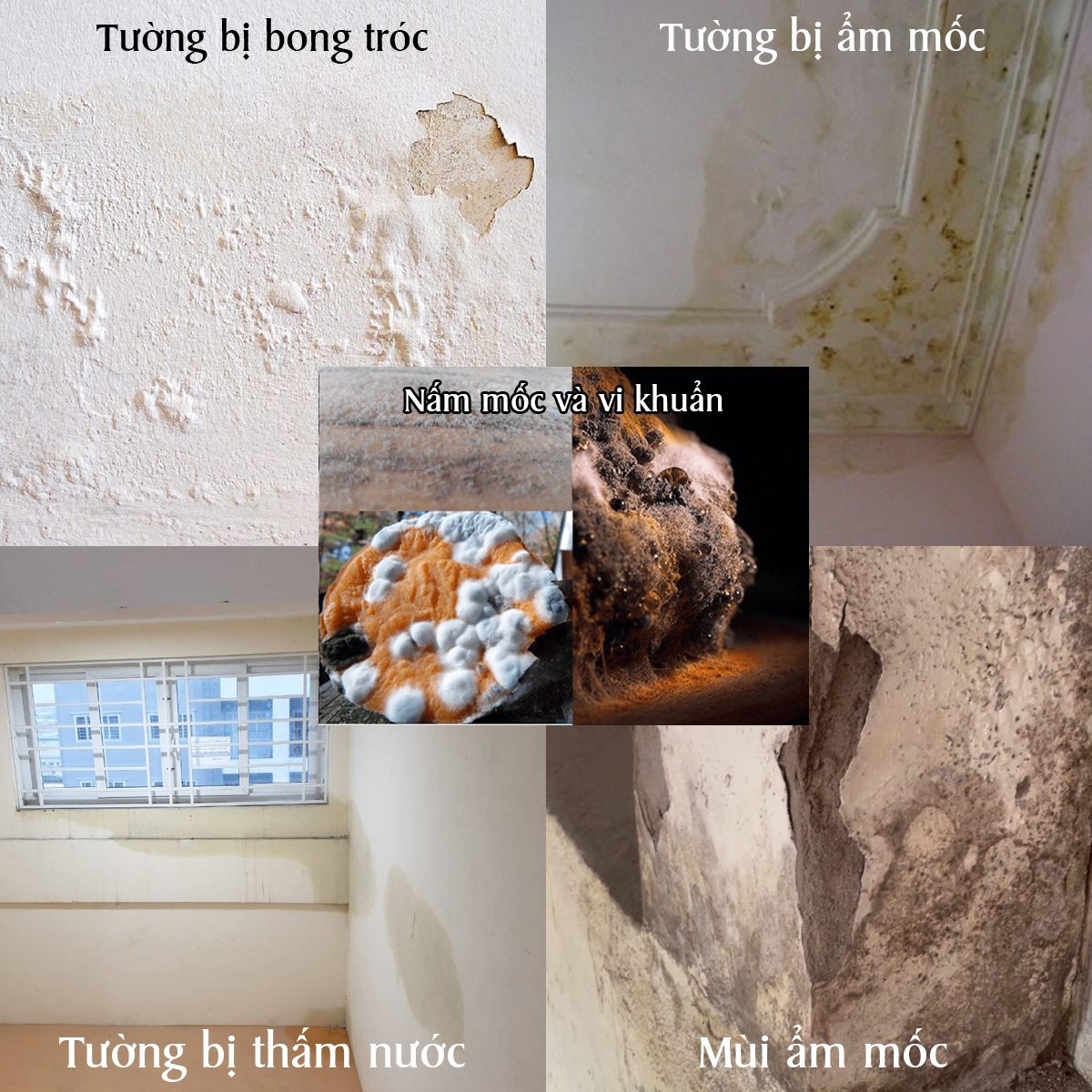 5-dau-hieu-tuong-bi-tham-nuoc